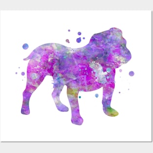 Purple English Bulldog Watercolor Painting Posters and Art